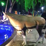 پارک محله ای صد دستگاه