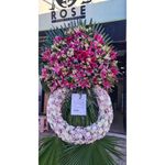 گل رز مهرشهر