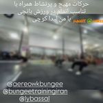 مدرس و مربی ورزشهای معلق