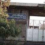 فروشگاه شایان