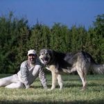 مزرعه پرورش اسب ترکمن سام