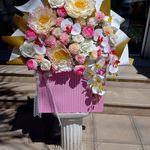 مجموعه گل اطلسی و قصر ماهی