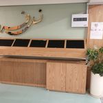 طراح و مجری دکوراسیون داخلی اروین چوب