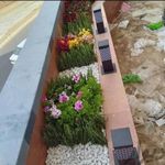 خدمات باغبانی هرس کاری گلکاری سمپاشی