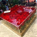 نمایشگاه گل و گیاه رهاگل