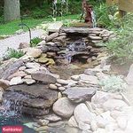 آرمان سبز و سایه گستر