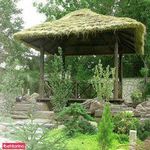 آرمان سبز و سایه گستر