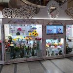 گل آرایی ارم