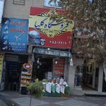 وندا گل