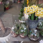 گل آرایی ارم