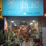 گل فروشی اسپرینگ