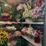 گلفروشی ولنجک