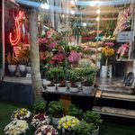 گلفروشی ولنجک