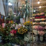 گلفروشی ولنجک