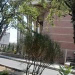 استخر دانشگاه علم و صنعت