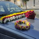 گلفروشی سی تو (ارسال رایگان)