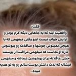 سالن زیبایی و سالن پاکسازی پوست صدف آرا