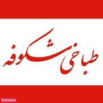 طباخی  شکوفه