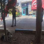 کانون مهدیه عج