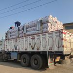 نمایندگی پالاز موکت