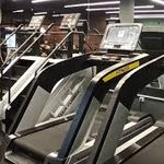 باشگاه شاهین بندرانزلی