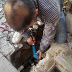 حسن بابائی فر