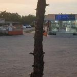عرفان بار