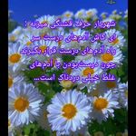 کلینیک روانشناسی مسیر دلارام