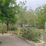 سرویس بهداشتی بوستان لادن