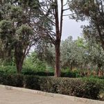 سرویس بهداشتی بوستان لادن