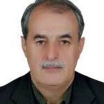 دکتر شمس الدین عاملی