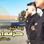 موسسه حفاظتی نظم آوران تدبیر پارسا