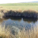 گردشگاه هفت برم