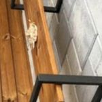 اکبر قربانی طرقی