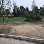 پارک شهرداری