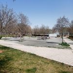 شهربازی پارک شهدای گمنام
