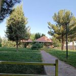 بوستان لاله