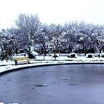 بوستان لاله