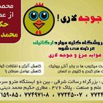 فواید مرغ سبز