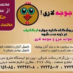 فواید مرغ سبز