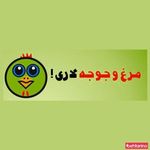 فواید مرغ سبز