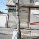 نانوایی بربری
