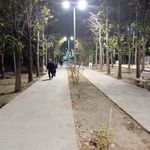 پارک زیتون
