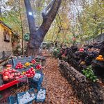 رستوران البرز درکه