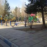 پارک زیتون