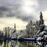 پارک ملت (بوستان ملت)