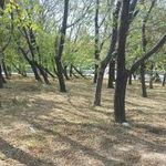 سرویس بهداشتی بوستان میثاق 2