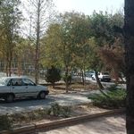 سرویس بهداشتی بوستان میثاق 2