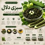 فروشگاه اينترنتی آكزين كالا