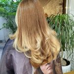سالن زیبایی زن روز ( شعبه 1 )